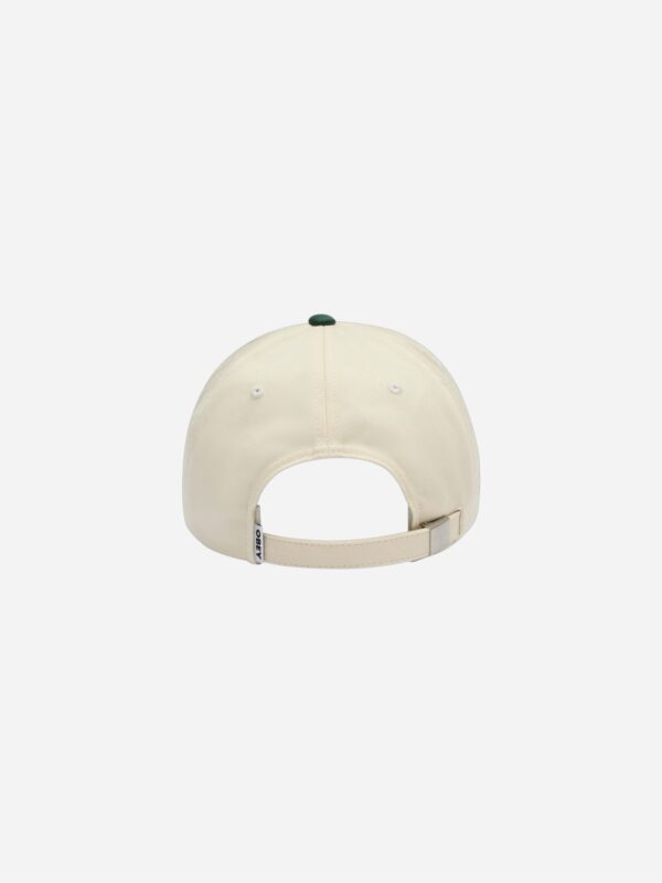 Obey Design Studios 5 Panel Strapback Spruce Multi 100490151