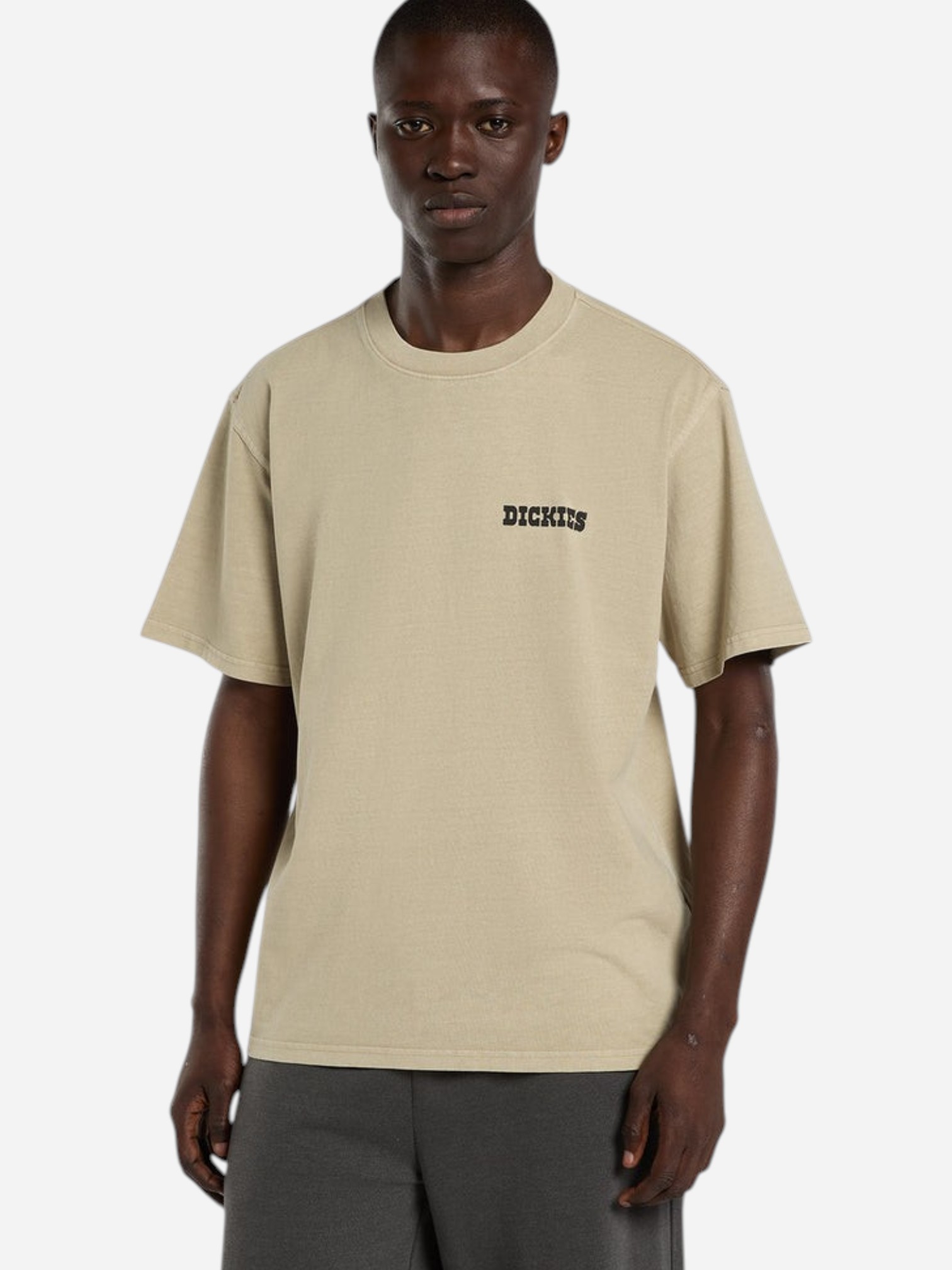Dickies Darrtown Ss Tee Eucalyptus (1)