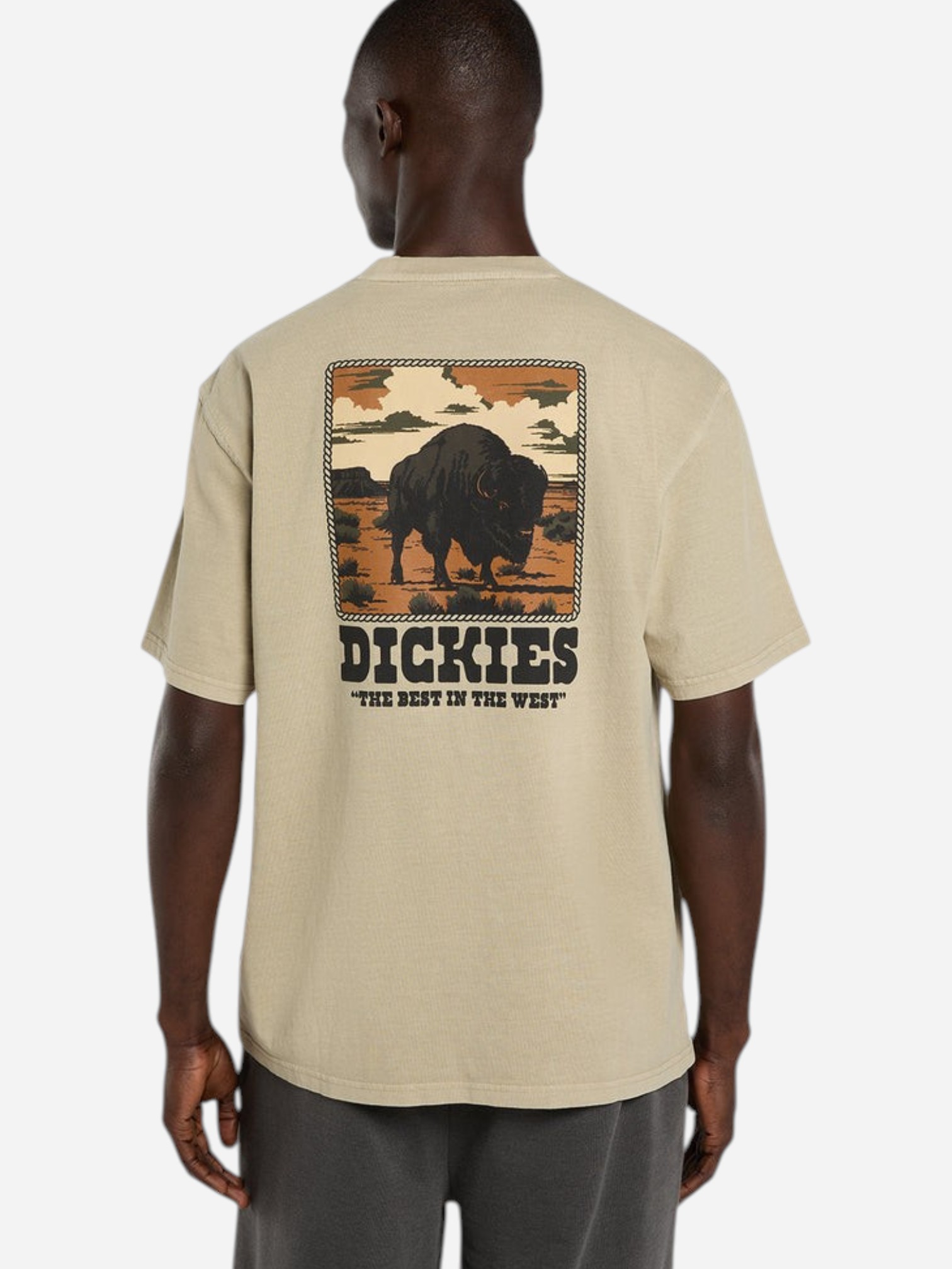 Dickies Darrtown Ss Tee Eucalyptus