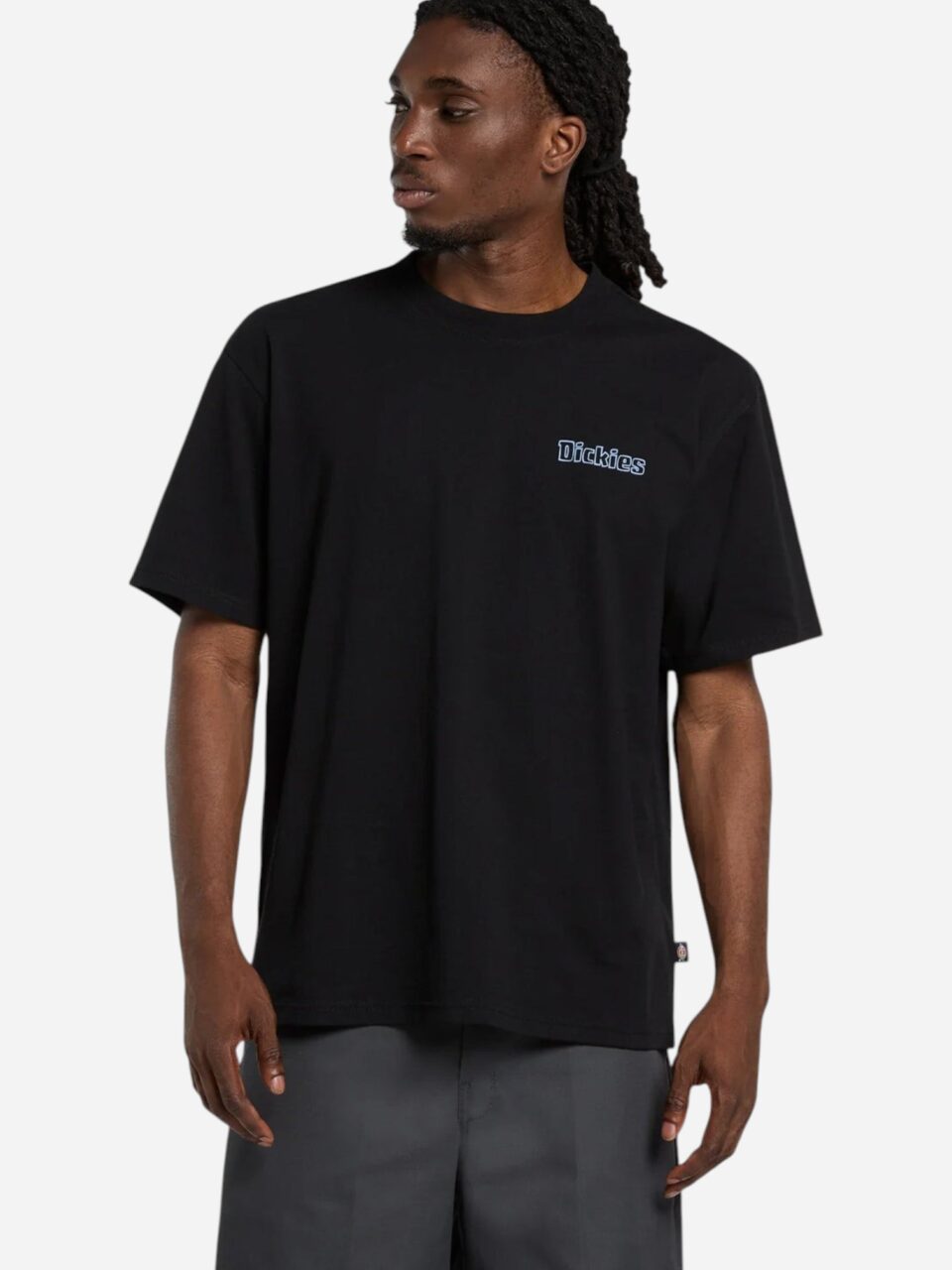 Dickies Fairlawn Ss Tee Black