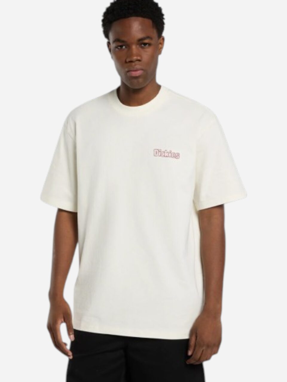 Dickies Fairlawn Ss Tee Egret