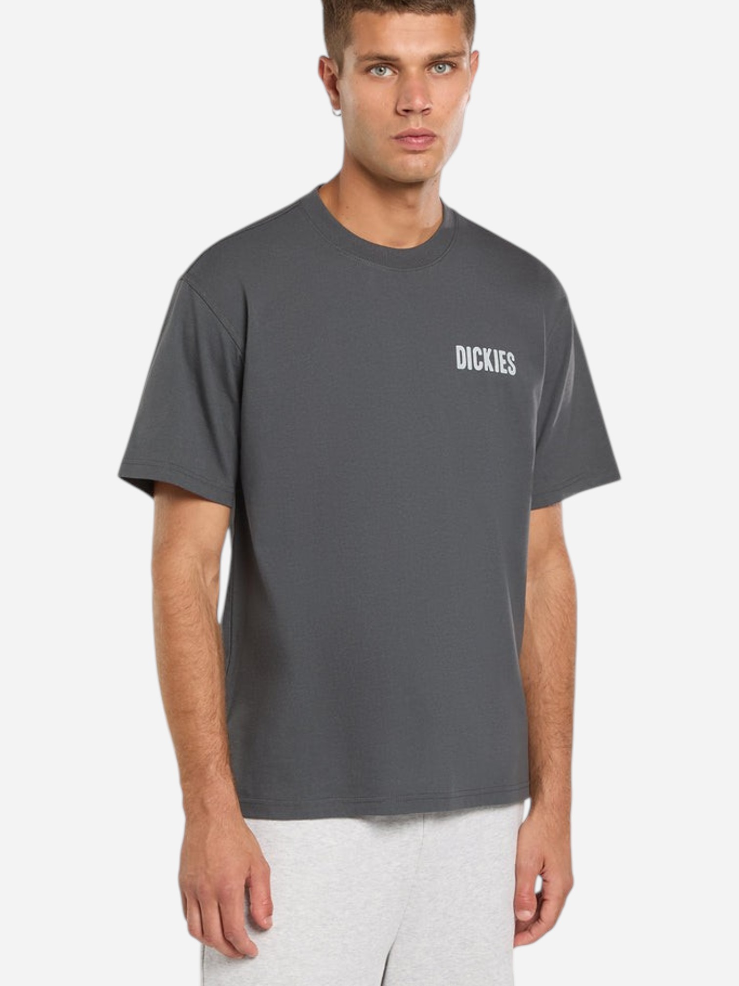 Dickies Wolfhurst Ss Tee Charcoal Grey1 (2)