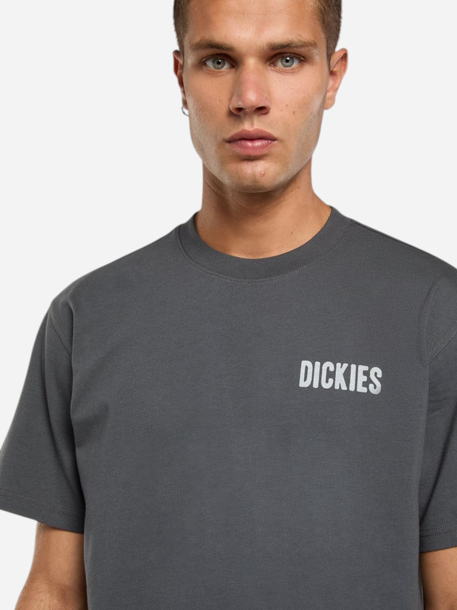 Dickies Wolfhurst Ss Tee Charcoal Grey3 (1)